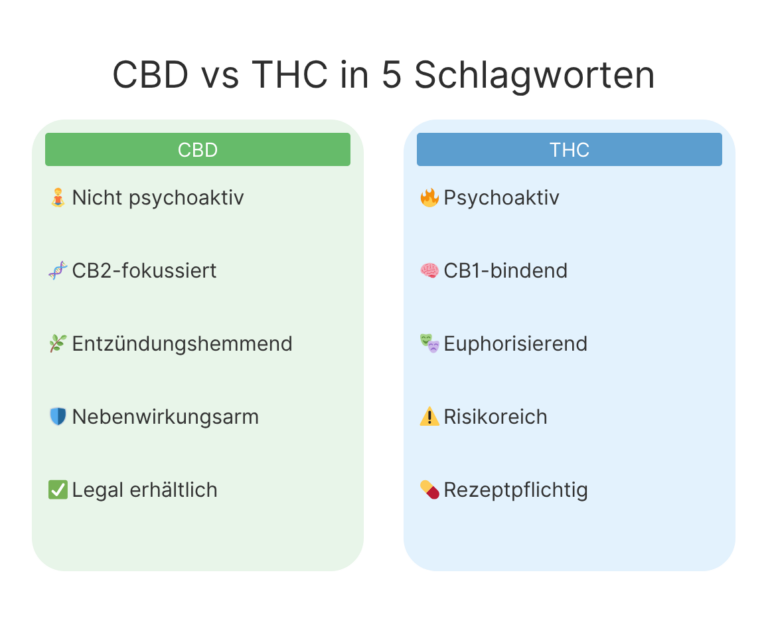 CBD und THC: Die wichtigsten Unterschiede einfach erklärt